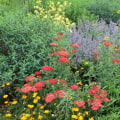 Creating a Pollinator-Friendly Landscape in Camden County, New Jersey