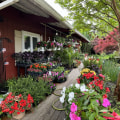 The Most Popular Plants and Flowers for Landscaping in Camden County, New Jersey