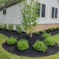 Exploring the Landscaping Services Available in Camden County, New Jersey