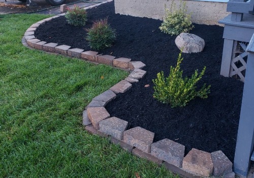 Creating a Low-Maintenance Landscape in Camden County, New Jersey