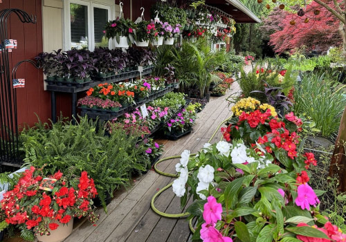 Exploring the World of Landscaping in Camden County, New Jersey